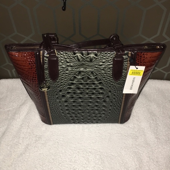 Brahmin - Picture 2 of 6